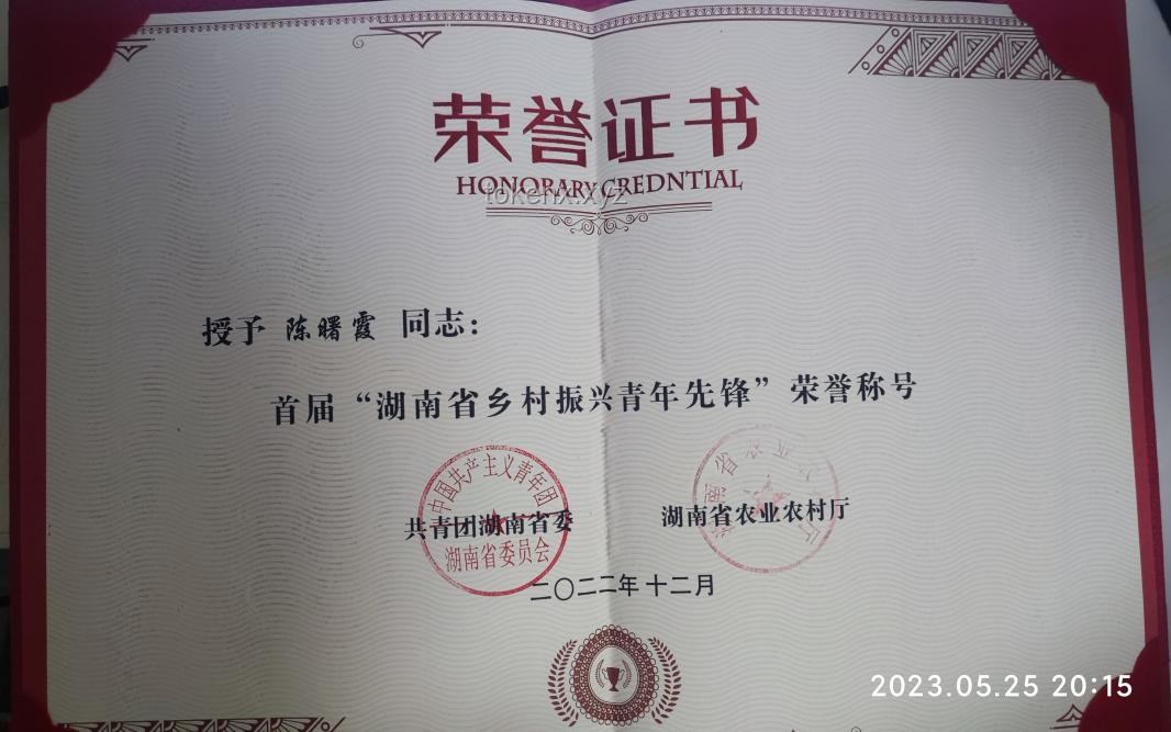 湖南荣誉上榜全攻略:如何助力地区与个人赢得全国文明称号 湖南荣誉上榜全攻略:如何助力地区与个人赢得全国文明称号